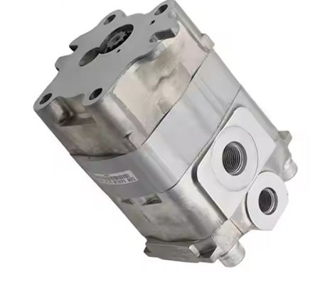 Para las máquinas de excavación, la bomba de engranaje hidráulico 290-3628 2903628 para miniexcavadoras E305 CAT305.5